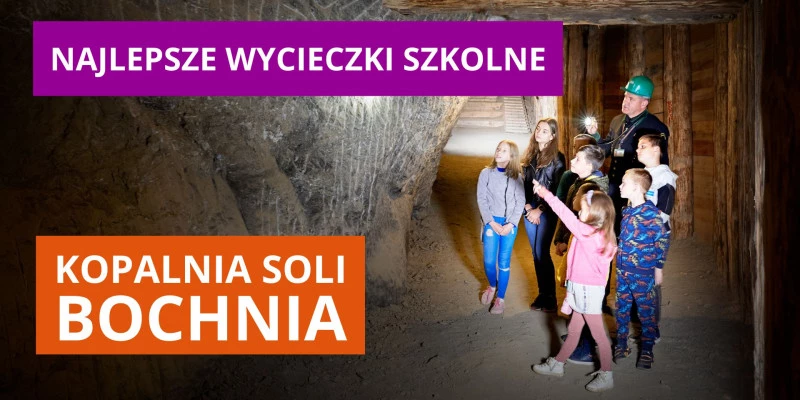 Wycieczki szkolne do Kopalni Soli Bochnia (17.11.2023)