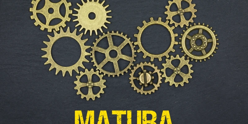 Znamy ostateczne wyniki tegorocznych matur (10.09.2025) Znamy ostateczne wyniki tegorocznych matur (10.09.2025)